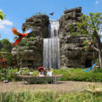 Bird Paradise