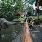 Zoo