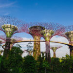 Gardens by the bay