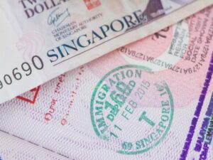 Singapore Visa Services